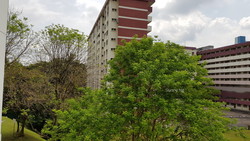 Blk 345 Kang Ching Road (Jurong West), HDB 4 Rooms #202767182